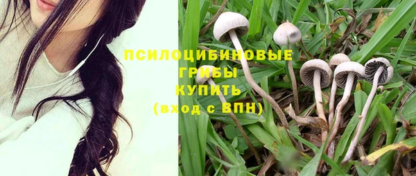 эйфоретик Армянск