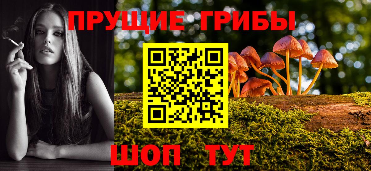 Галлюциногенные грибы MAGIC MUSHROOMS  Вход с VPN  Аша 