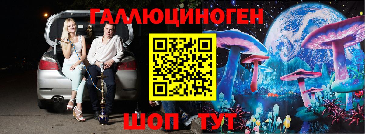 Галлюциногенные грибы Psilocybe Аша