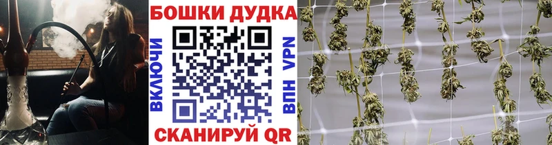 МАРИХУАНА ГИДРОПОН где купить наркотик KRAKEN сайт Аша